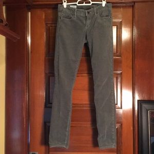 Gap Always Skinny Dark Grey Cords
